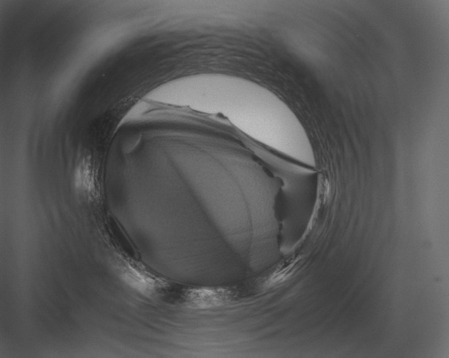 X0000082970239200702230015