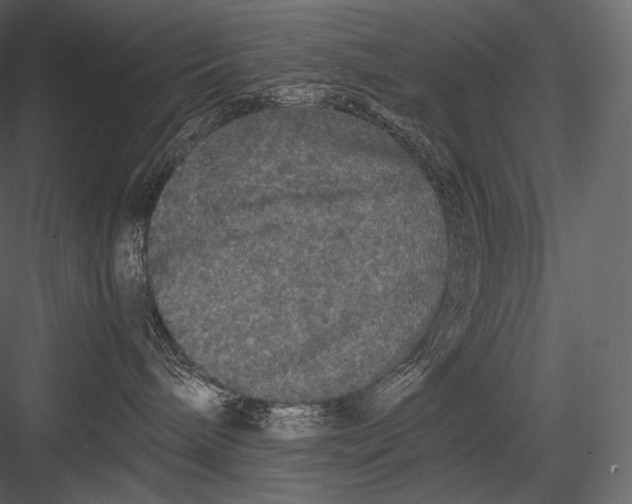 X0000082970240200702230015