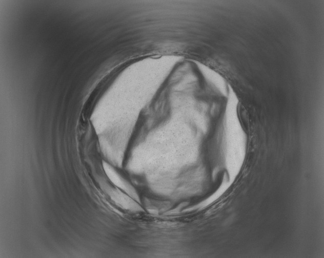 X0000082970242200702230014