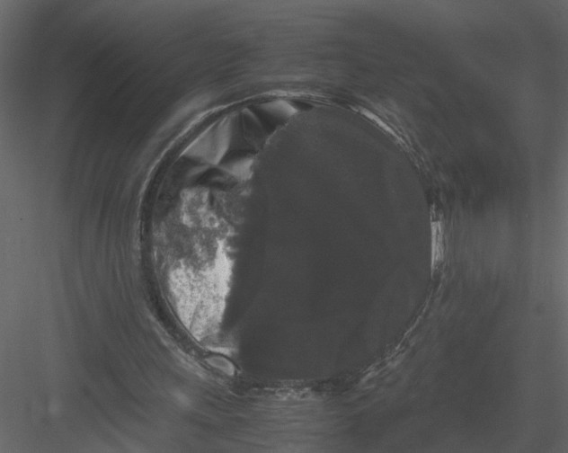 X0000082970243200702230014