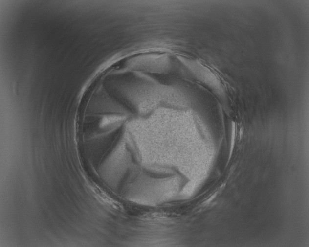 X0000082970244200702230014