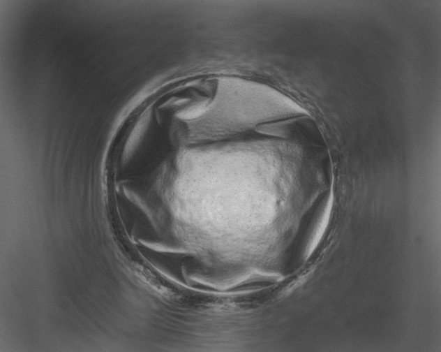 X0000082970246200702230014