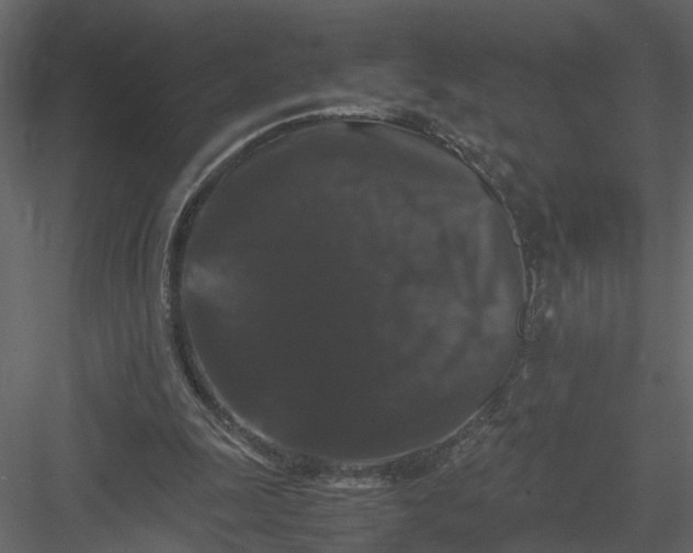 X0000082970247200702230014