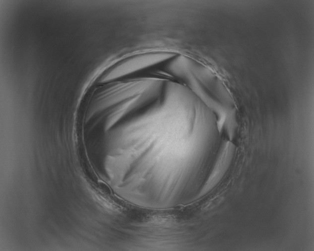 X0000082970248200702230014