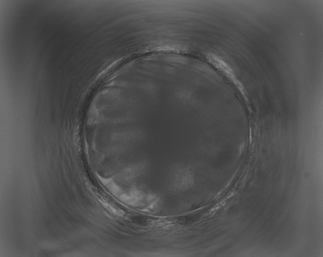 X0000082970249200702230014