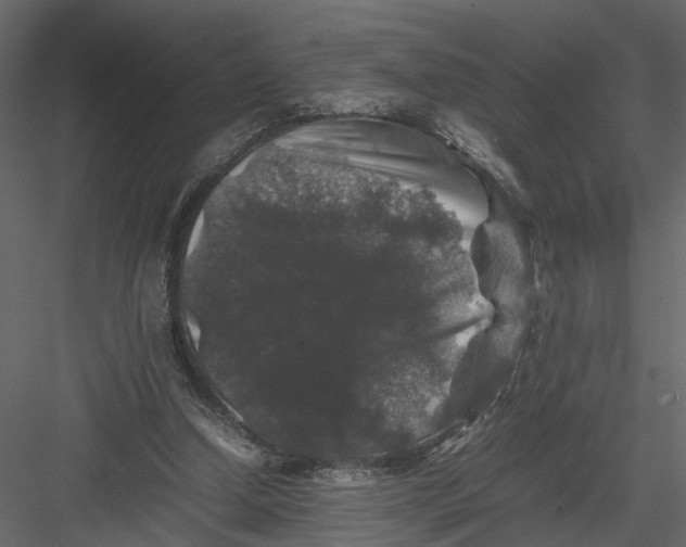 X0000082970250200702230014