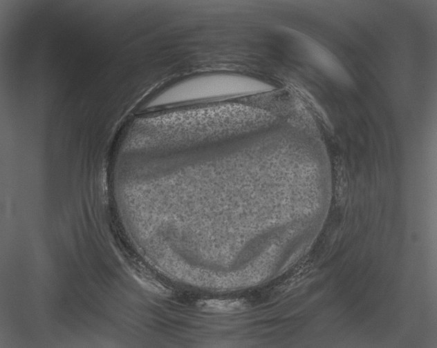 X0000082970251200702230014