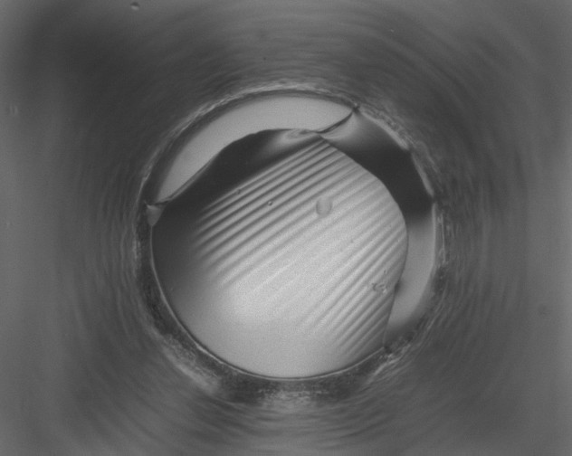 X0000082970252200702230014