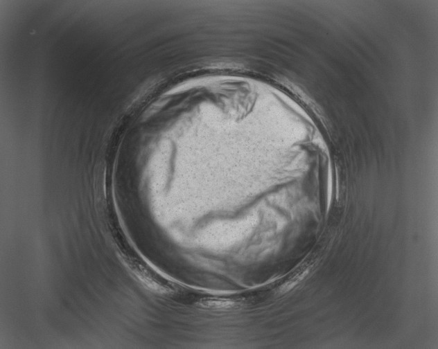 X0000082970253200702230014