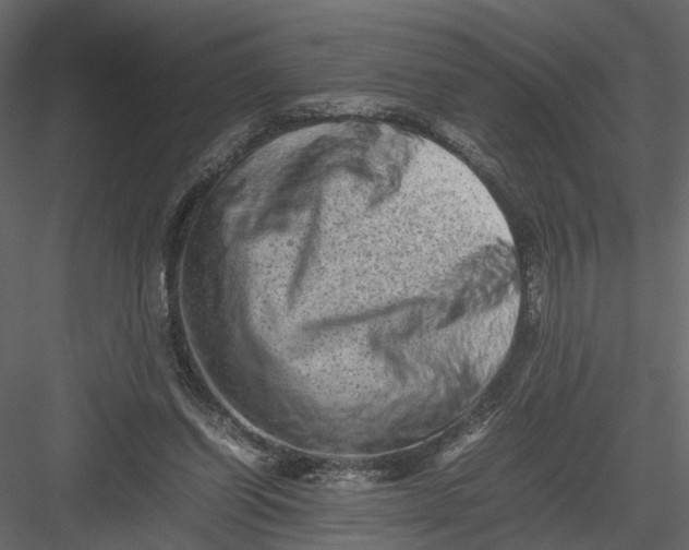 X0000082970254200702230014