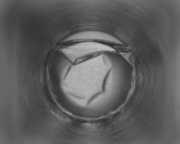 X0000082970255200702230014