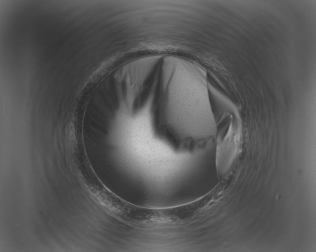 X0000082970256200702230014