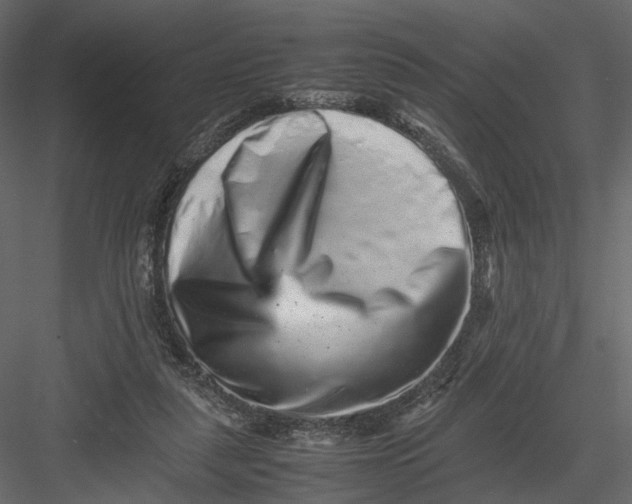 X0000082970259200702230014