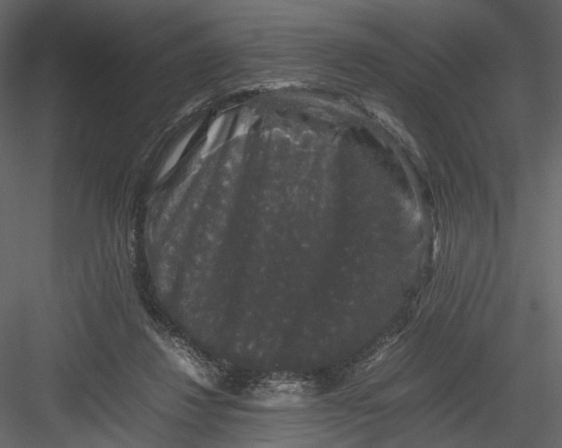 X0000082970260200702230014