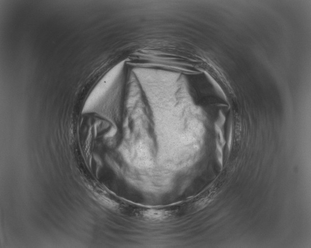 X0000082970261200702230014