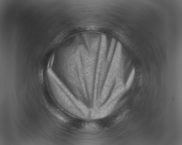 X0000082970262200702230014