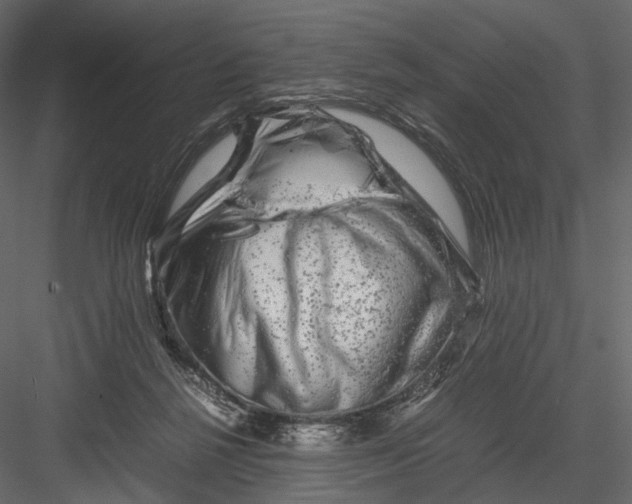 X0000082970264200702230015