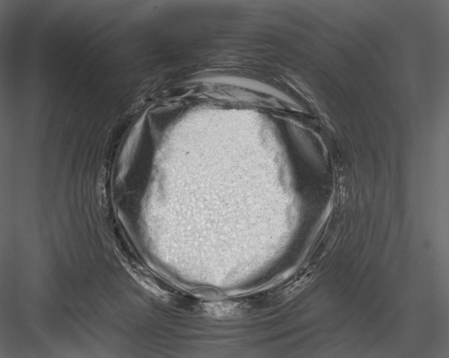 X0000082970265200702230015