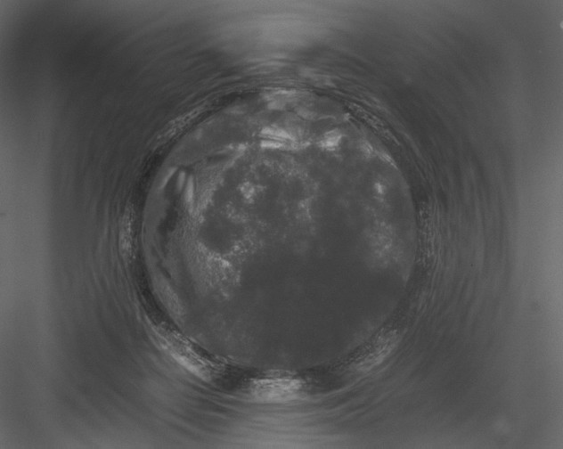 X0000082970266200702230015