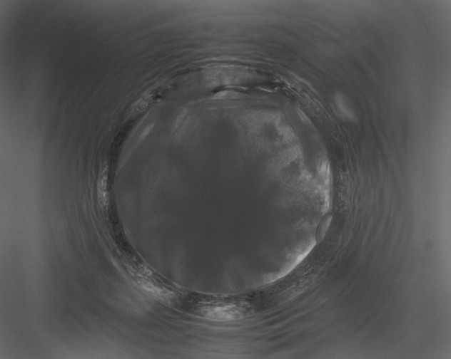 X0000082970267200702230015