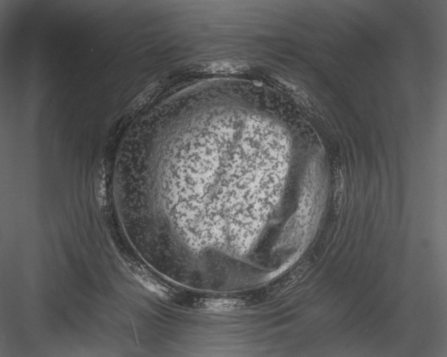 X0000082970268200702230015