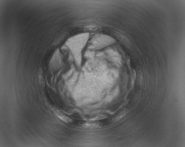 X0000082970270200702230015