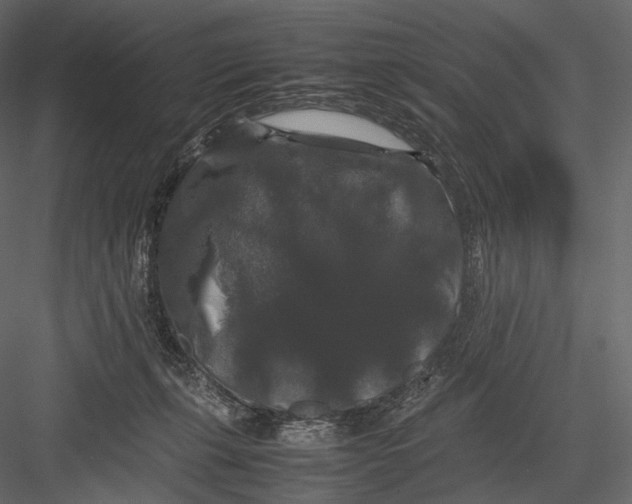 X0000082970271200702230015