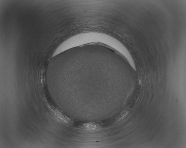 X0000082970272200702230015