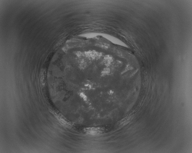 X0000082970273200702230015