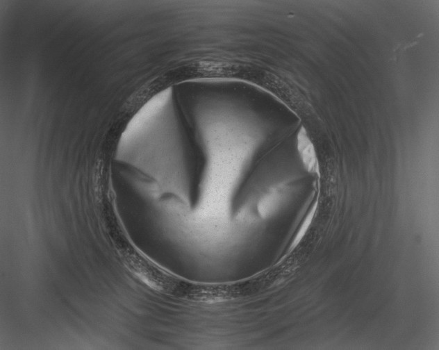 X0000082970275200702230015