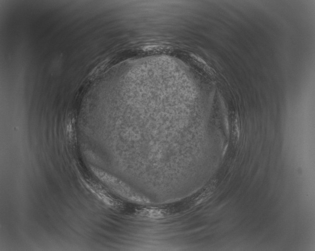 X0000082970276200702230015