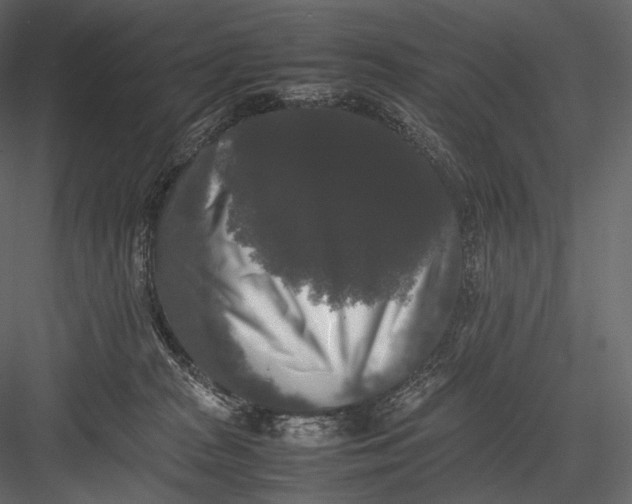 X0000082970277200702230015