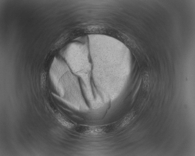 X0000082970278200702230015