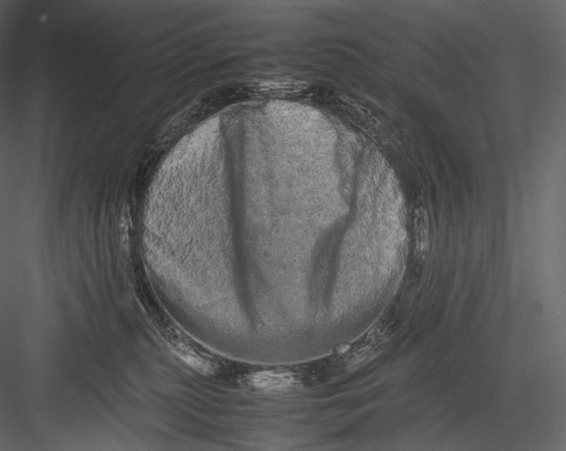 X0000082970279200702230015