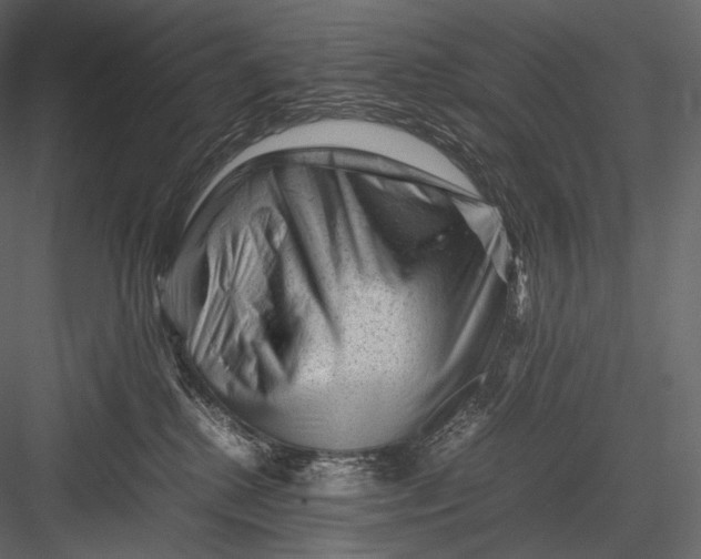 X0000082970280200702230015