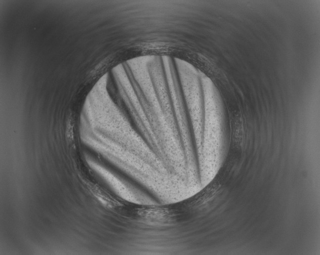 X0000082970282200702230015