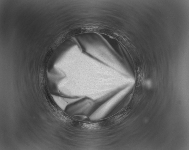 X0000082970283200702230015