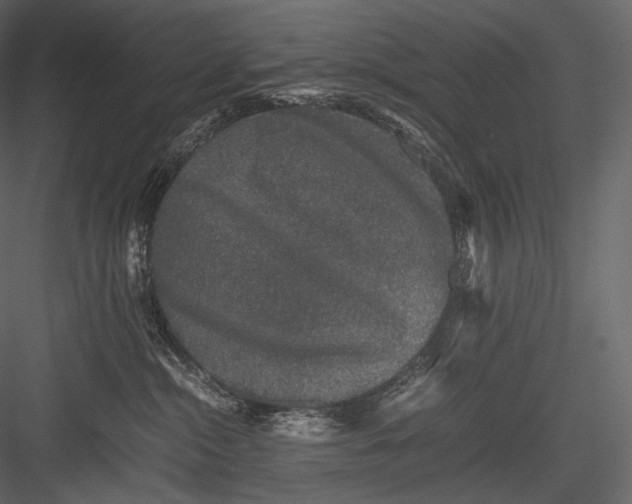 X0000082970284200702230015