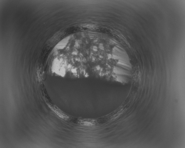 X0000082970285200702230015