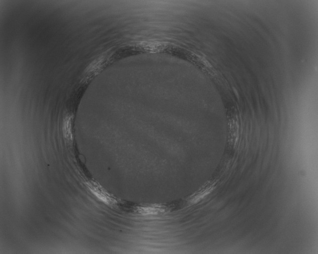 X0000082970286200702230015