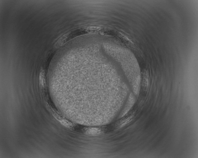 X0000082970287200702230015