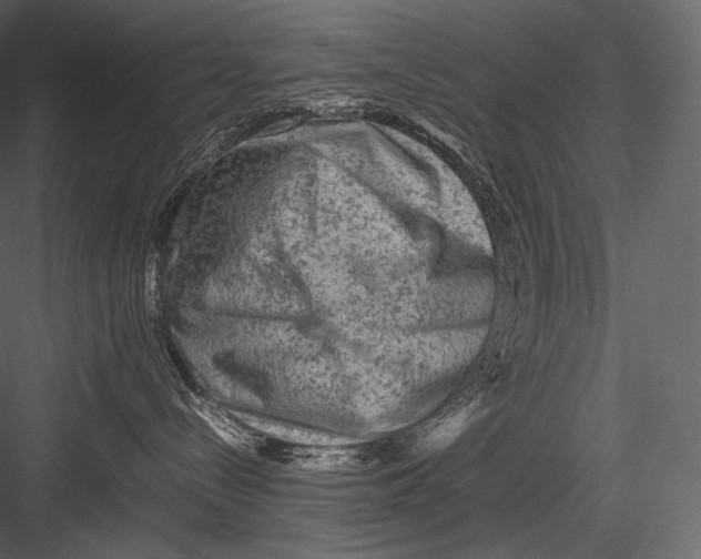 X0000082970288200702230015