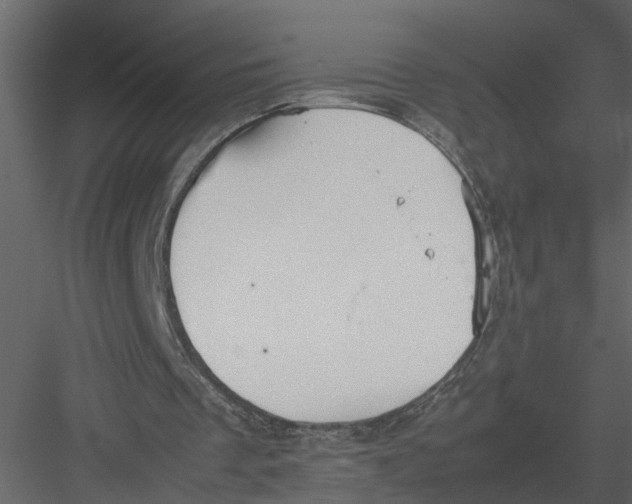 X0000082970289200702230014