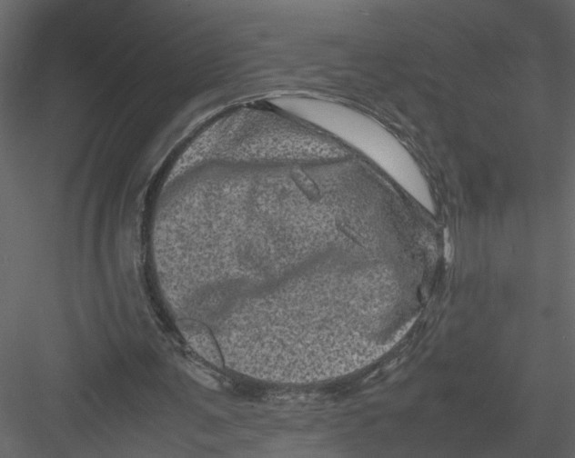 X0000082970291200702230014