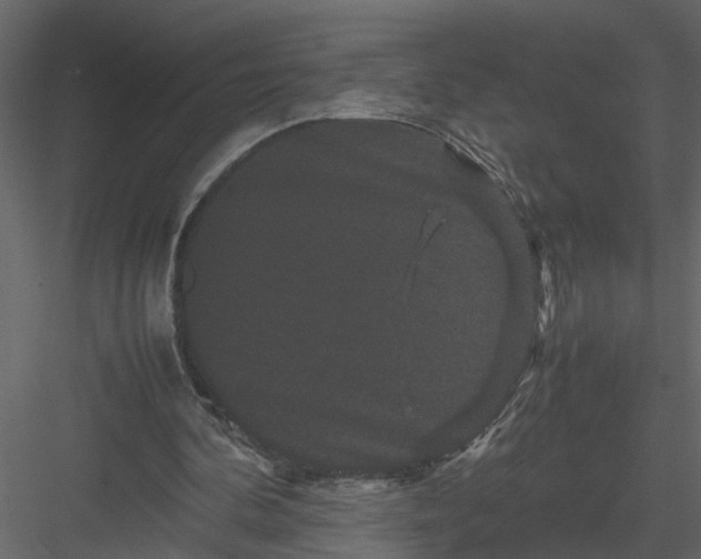 X0000082970292200702230014