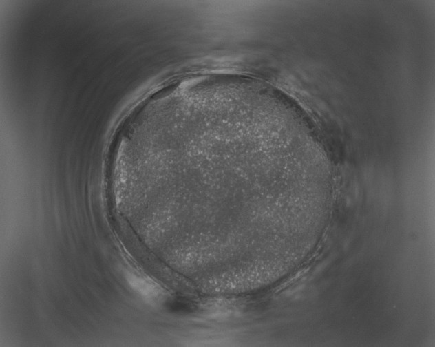 X0000082970293200702230014