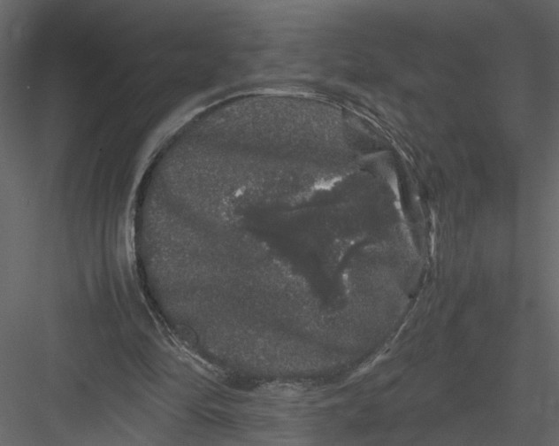 X0000082970294200702230014