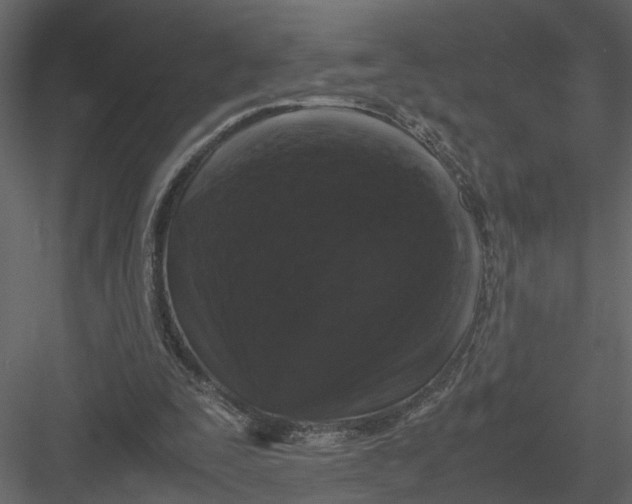 X0000082970295200702230014