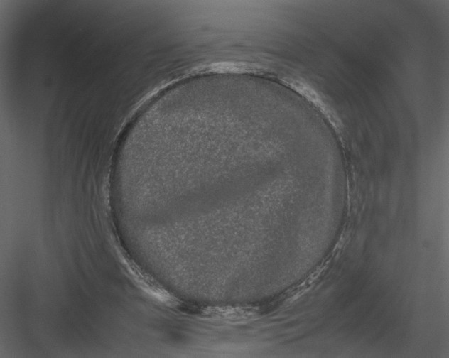 X0000082970297200702230014