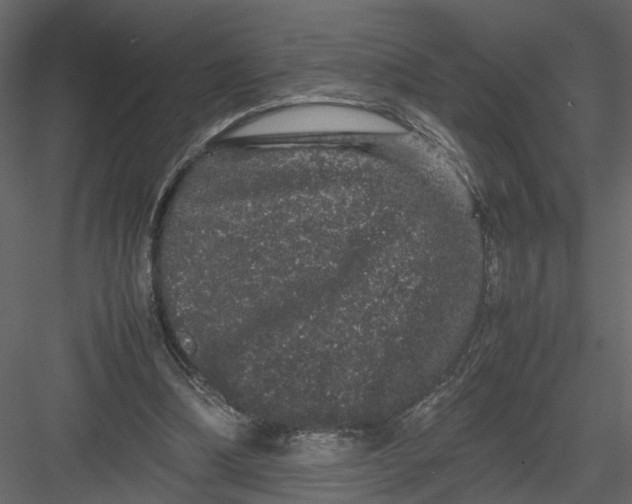 X0000082970298200702230014